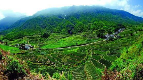 咸寧重振雄風(fēng)推進(jìn)茶文旅融合，做深做優(yōu)做強(qiáng)茶產(chǎn)業(yè)