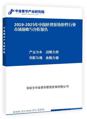 2019-2025年中國處理系統軟件行業(yè)市場前瞻與分析報告