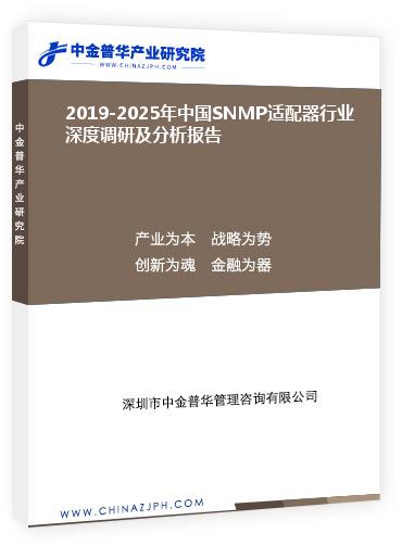 2019-2025年中國SNMP適配器行業(yè)深度調研及分析報告